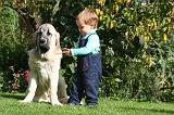 ENFANT ET CHIEN 597